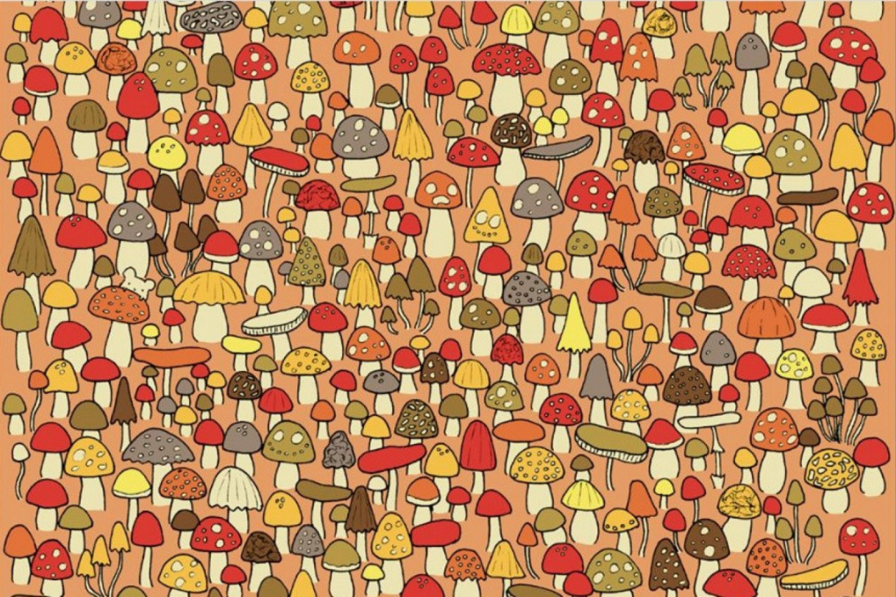 Možete li ovde da pronađete miša za 20 sekundi? Ako je odgovor "da", evo šta to govori o vama!