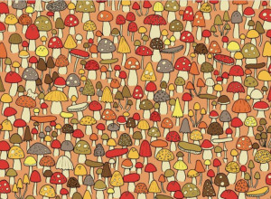 Možete li ovde da pronađete miša za 20 sekundi? Ako je odgovor "da", evo šta to govori o vama!