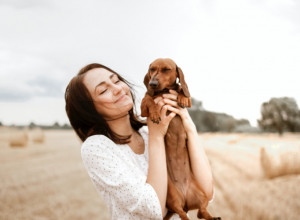 PAS LEČI MNOGE BOLESTI! Evo zašto je dobro imati jednog