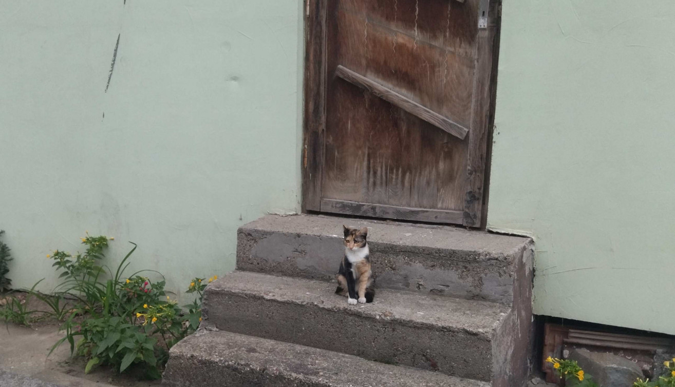 Posmatram sa propisane daljine...