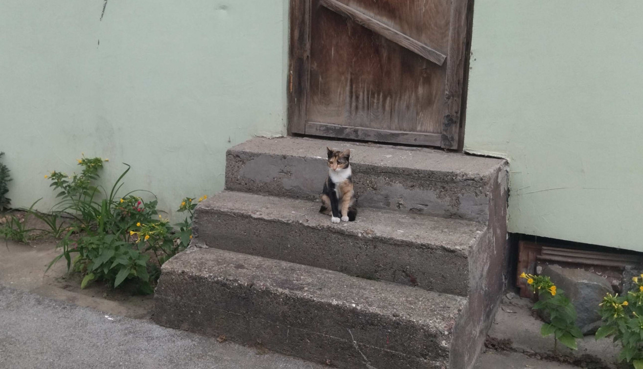 Posmatram sa propisane daljine...