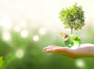 SIMBOLIKA KELTSKOG DRVETA ŽIVOTA! Mnogi nose lančiće sa ovim znakom, a ne znaju za MOĆNU poruku koju on šalje!