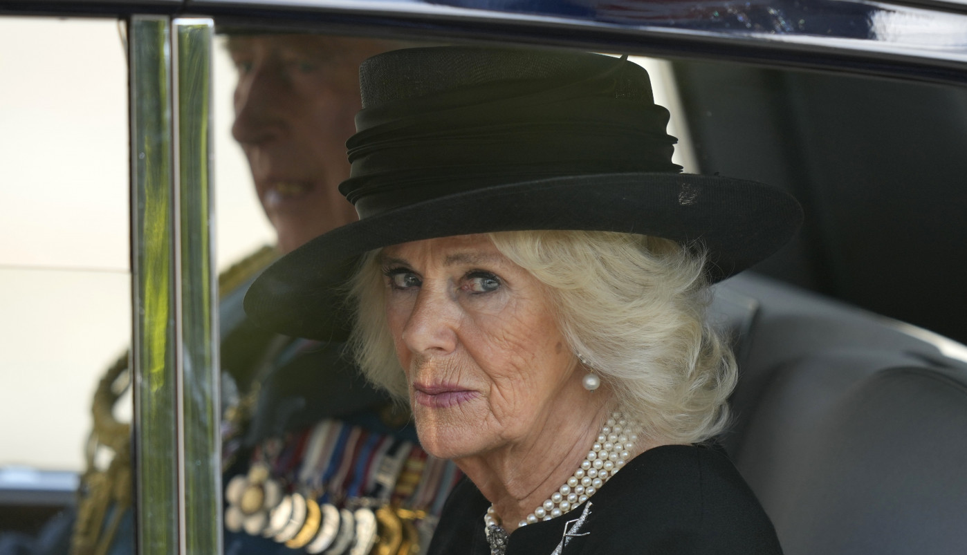 OTKRIVENA TAJNA MISTERIOZNOG ODNOSA princa Harija i njegove maćehe Kamile! Njena porodica ima dugu istoriju ljubavničkih odnosa! (VIDEO)