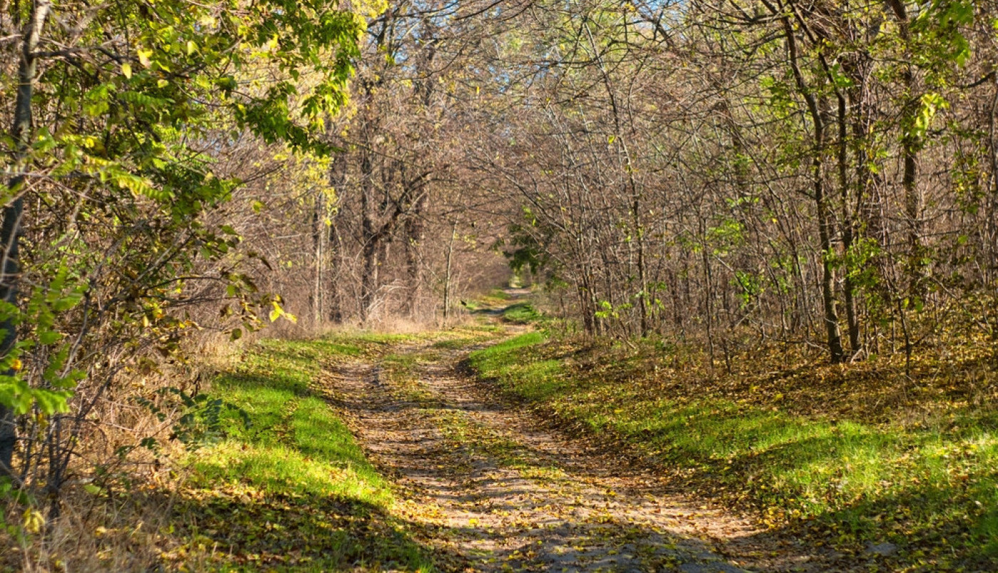 Izađite iz kuće i uživajte u sunčanom jesenjem danu...