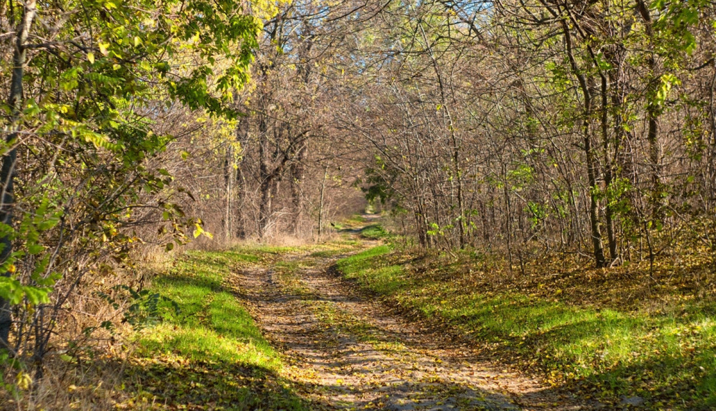Izađite iz kuće i uživajte u sunčanom jesenjem danu...