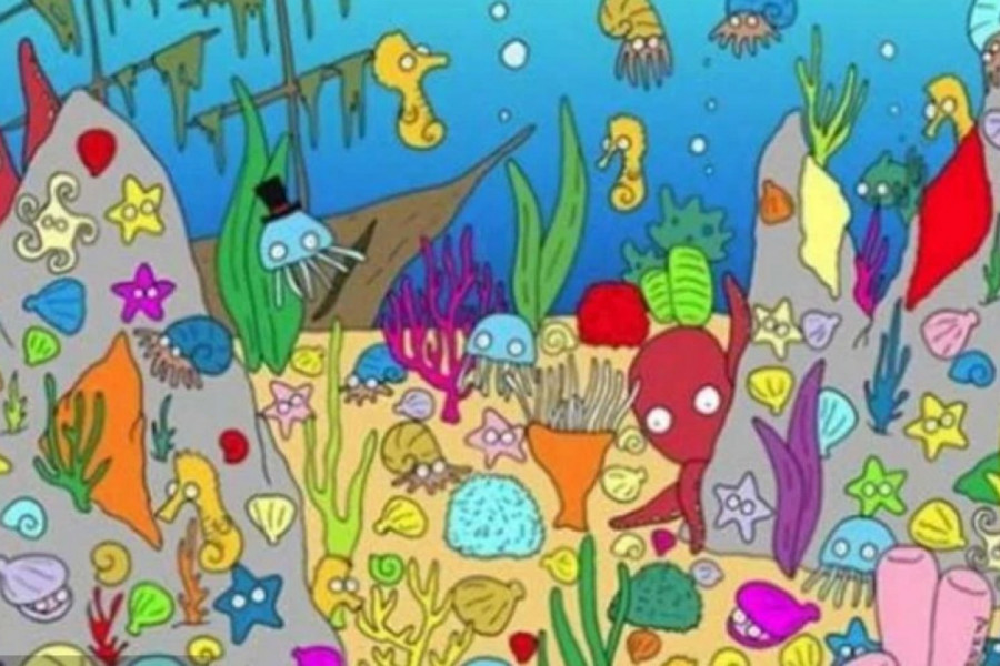 Za koliko sekundi možete da pronađete ribu na dnu okeana? Ovaj test nije nimalo lak, A MNOGO GOVORI O VAMA!