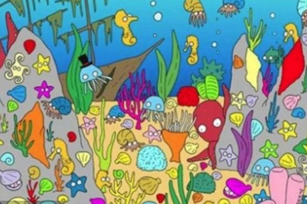 Za koliko sekundi možete da pronađete ribu na dnu okeana? Ovaj test nije nimalo lak, A MNOGO GOVORI O VAMA!