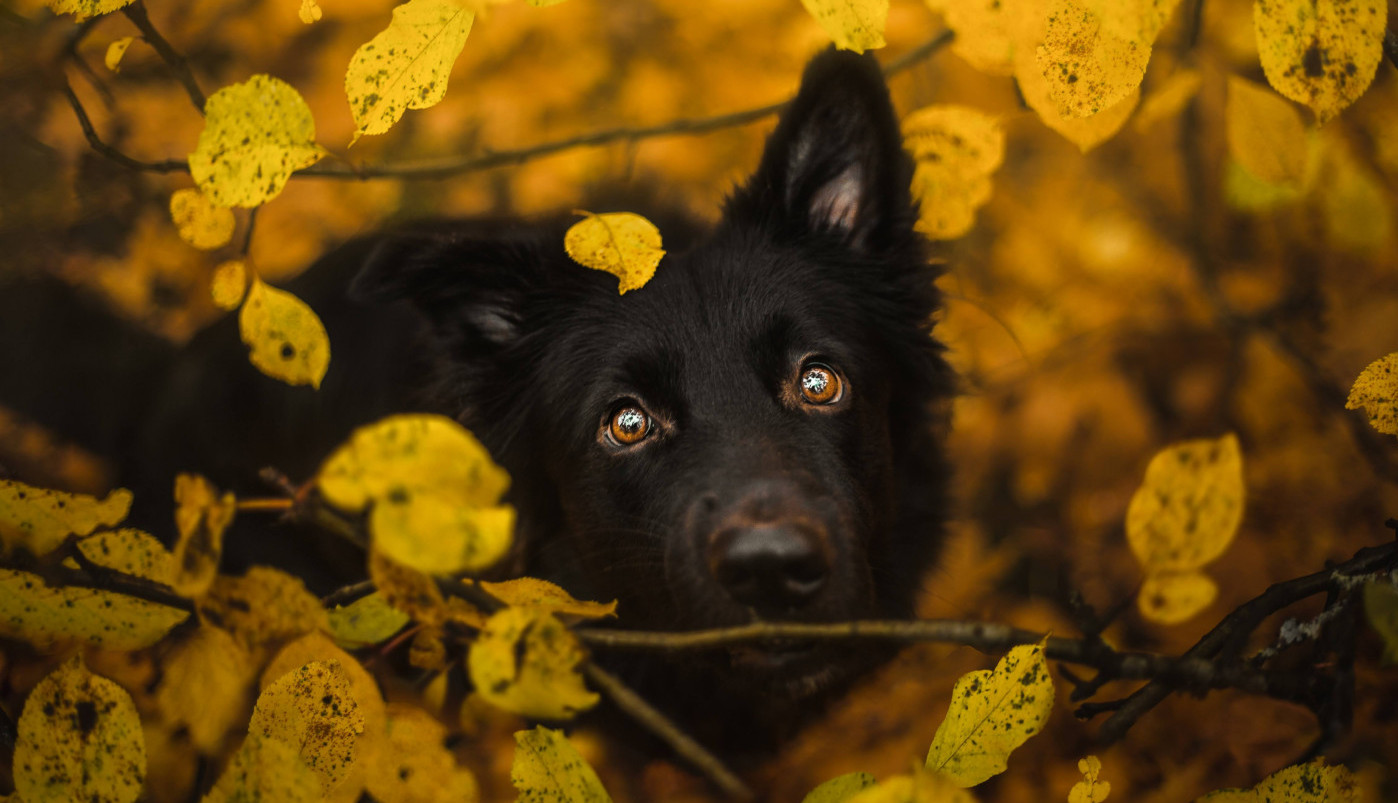 Ove jesenje boje slažu mi se uz boju očiju...