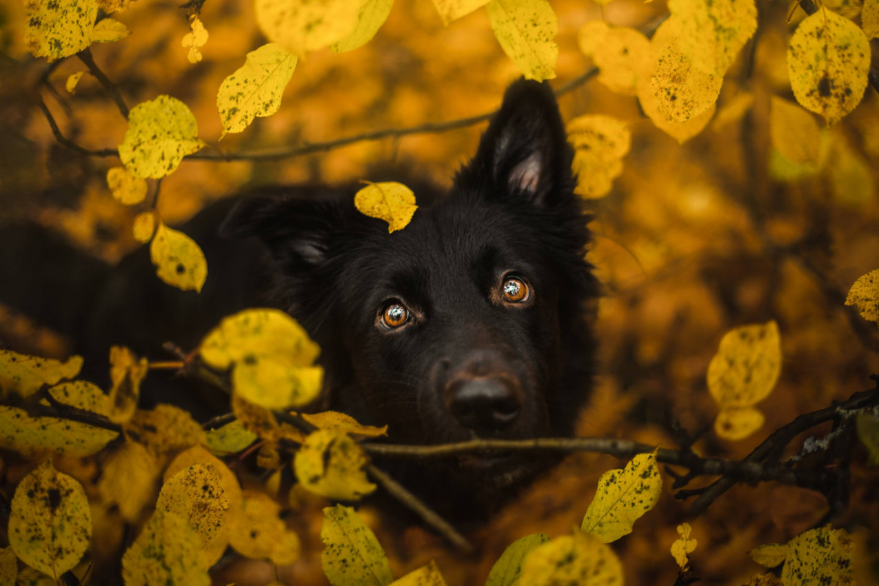 Ove jesenje boje slažu mi se uz boju očiju...