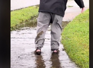 VEVERICA SE ZAGLAVILA U DUBOKOJ BARI, A ONDA JE NAIŠAO ON! Pogledajte šta se desilo, priča topi srca (VIDEO)