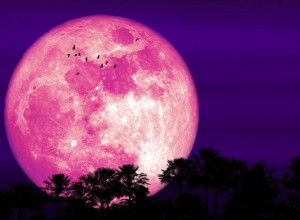 SLEDI PRAVA BURA ZBOG RUŽIČASTOG MESECA! Odavaćemo tajne koje ne želimo, a ovi znaci moraju da budu posebno oprezni, ponedeljak je ključan dan!