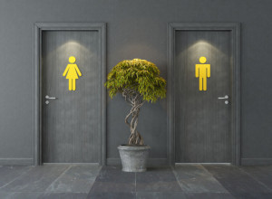 KONAČNO JE OTKRIVENO ŠTA PREDSTAVLJA ŽENSKI ZNAK NA TOALETU! Nije haljina kao što većina nas godinama misli!