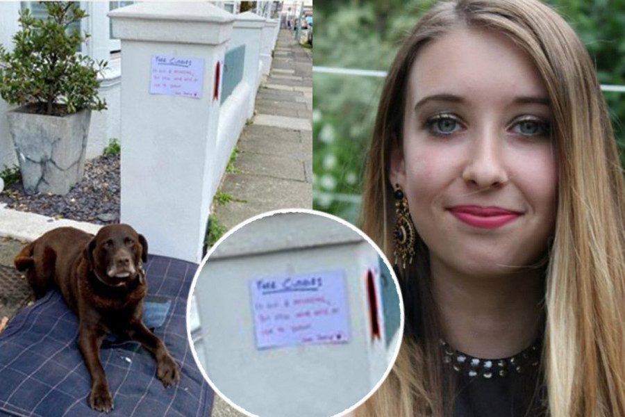 Pročitala je poruku koja je bila zakačena iznad psa na ulici i zanemela! A onda je samo pružila ruku i počela da miluje životinju (FOTO)