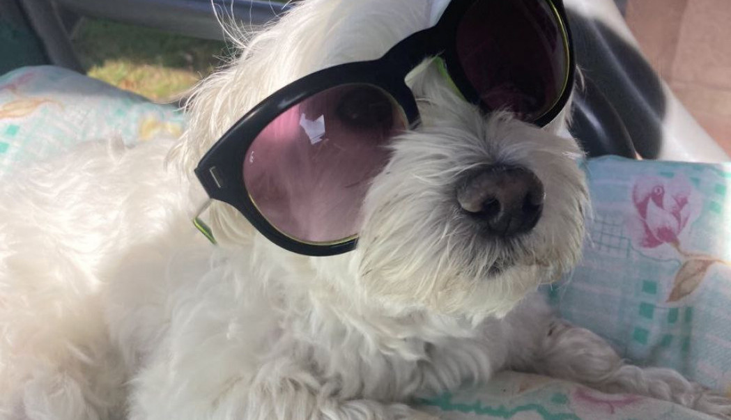 Baš je danas lep i sunčan dan