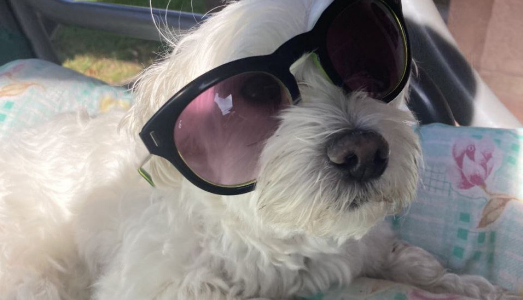 Baš je danas lep i sunčan dan