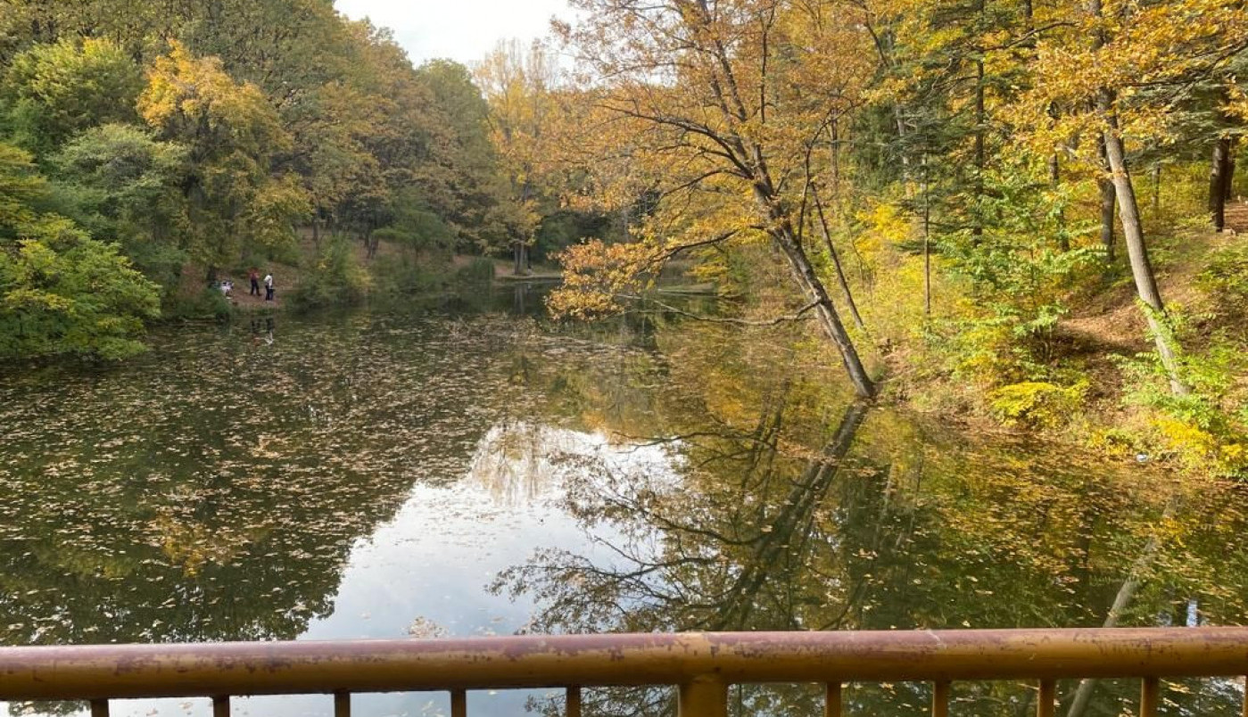 "Zaboravljeno" beogradsko jezero na Trešnji i dalje oduzima dah svojom lepotom...