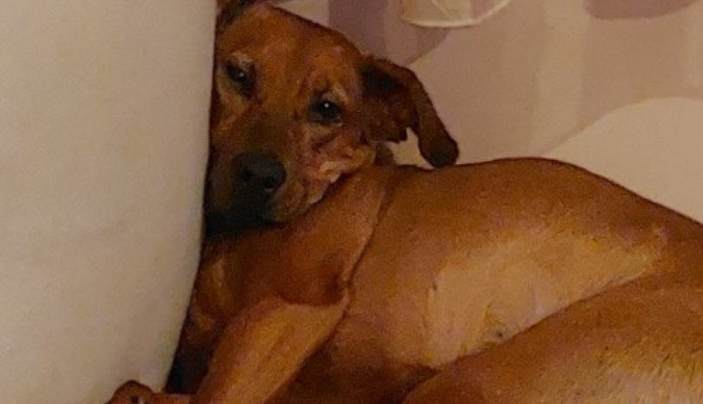 Pa šta ako je radni dan?!