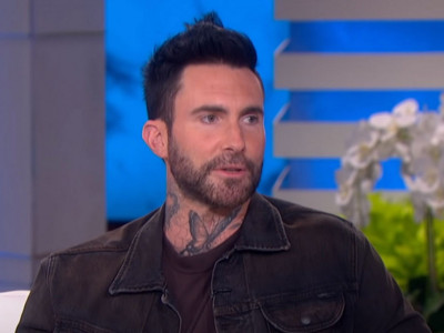 Adam Levin 2013. godina