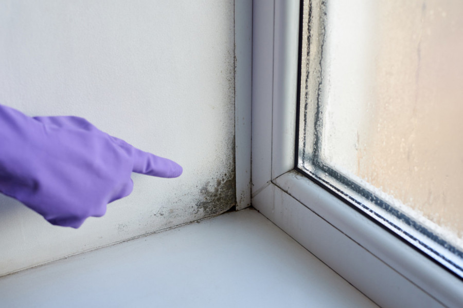 DA LI ZNATE ŠTA VLAGA NA PROZORIMA MOŽE DA IZAZOVE? Morate je se pod hitno rešiti, a ovo su najefikasniji načini!