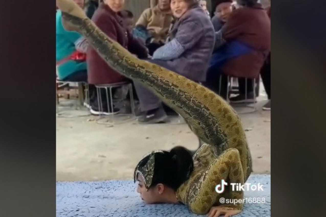 OVO JE PRAVA ŽENA ZMIJA! Ljudi u neverici šta je u stanju da uradi! (VIDEO)