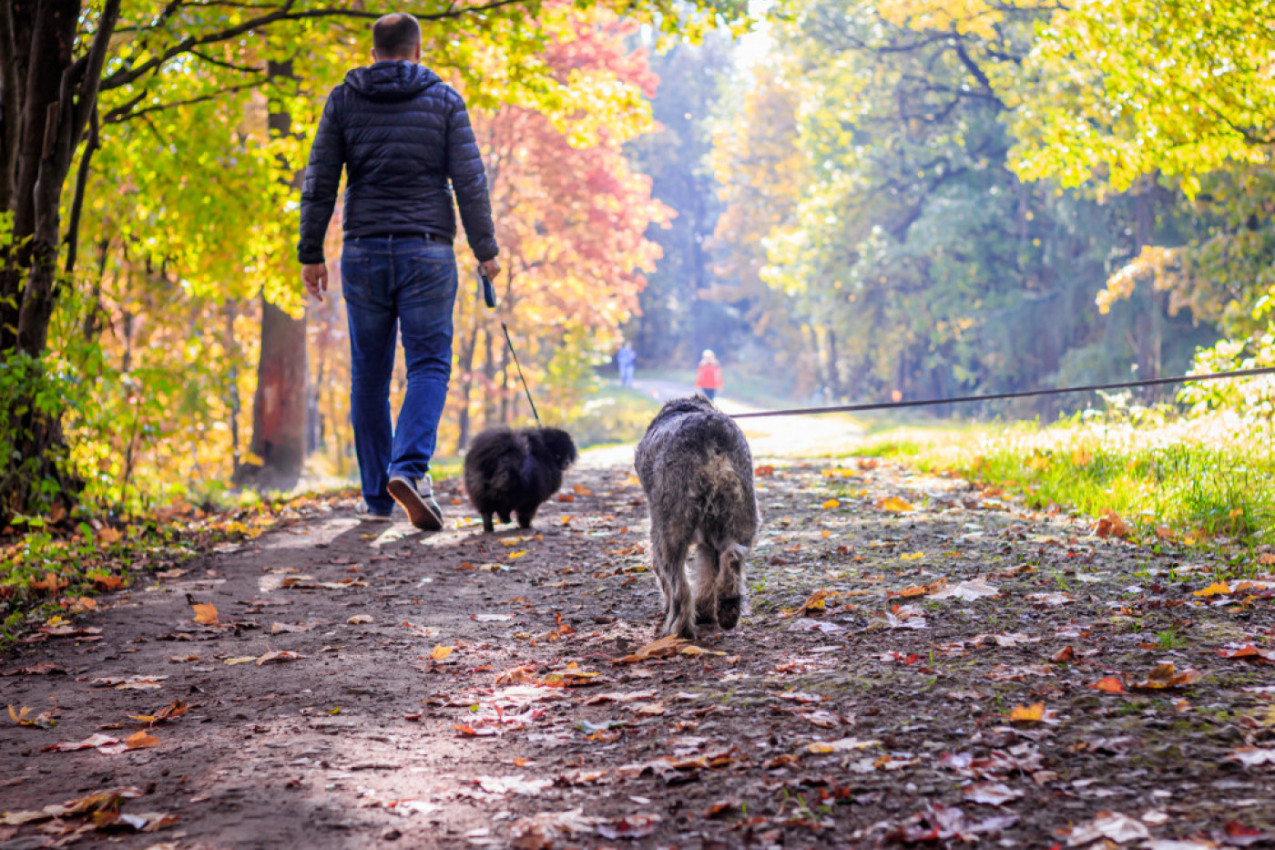 PUT POD NOGE I PRAVAC ŠETNJA! Ova udaljenost je idealna za hodanje kako biste vratili formu!