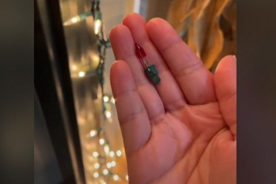 DA LI STE ZNALI ČEMU SLUŽE CRVENE LAMPICE NA DEKORACIJI ZA JELKE? Svi su verovali da su rezervne, ali nisu, ljudi u šoku!