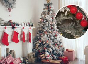 OKITILA SAM JELKU, A ONDA U NJOJ UGLEDALA DVA OKA! Usledio je vrisak, pa lom u kući, prednovogodišnji dani su se ovoj ženi pretvorili u haos!