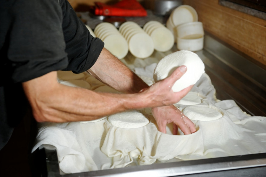JEDAN OD NAJSKUPLJIH SIREVA NA SVETU PROIZVODI SE U SRBIJI: Od cene će vam se zavrteti u glavi! (FOTO)