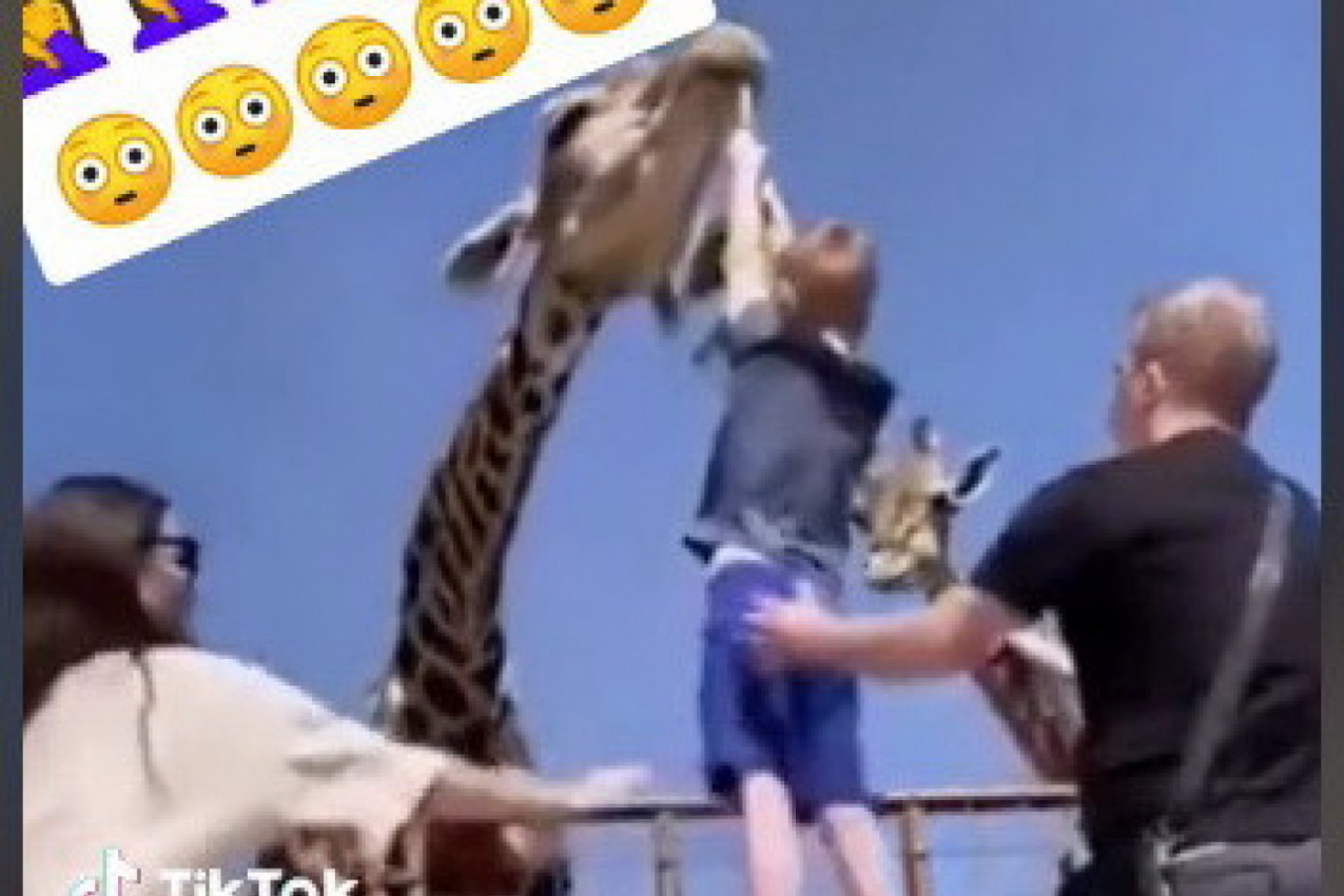 DEČAK JE STAJAO PORED MAME I TATE U ZOO-VRTU, A ONDA GA JE ZGRABILA ŽIRAFA: Žena je vrisnula i uradila nešto o čemu priča ceo svet! (VIDEO)