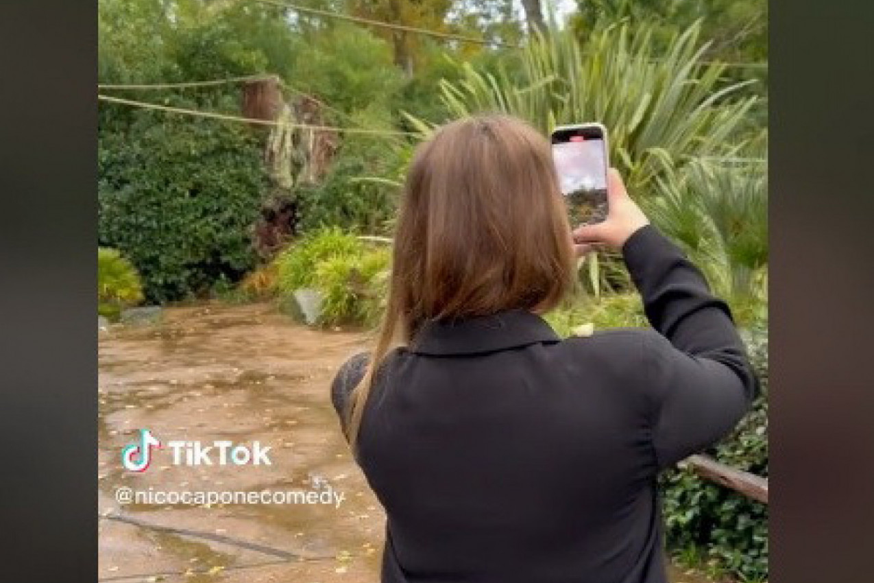 SNIMALA JE PRIRODU U REZERVATU ŽIVOTINJA, a nakon što joj je dečko krišom stavio komadić jabuke na rame, usledila je drama! Snimak je videlo 164 miliona ljudi! (VIDEO)