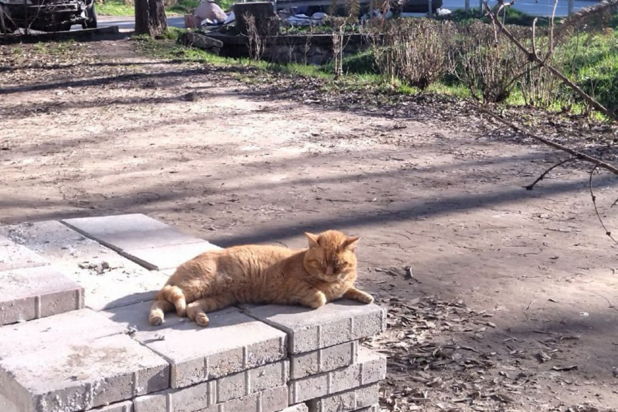 Vreme je za predah od slavlja