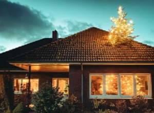 SMEŠNA STRANA BOŽIĆA: Uživajte u praznicima uz naše fotografije koje će vam sigurno izmamiti osmeh! (FOTO)