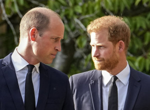 NOVE ŠOKANTNE TVRDNJE PRINCA HARIJA: Rođen sam da bih donirao bratu organe! (FOTO)