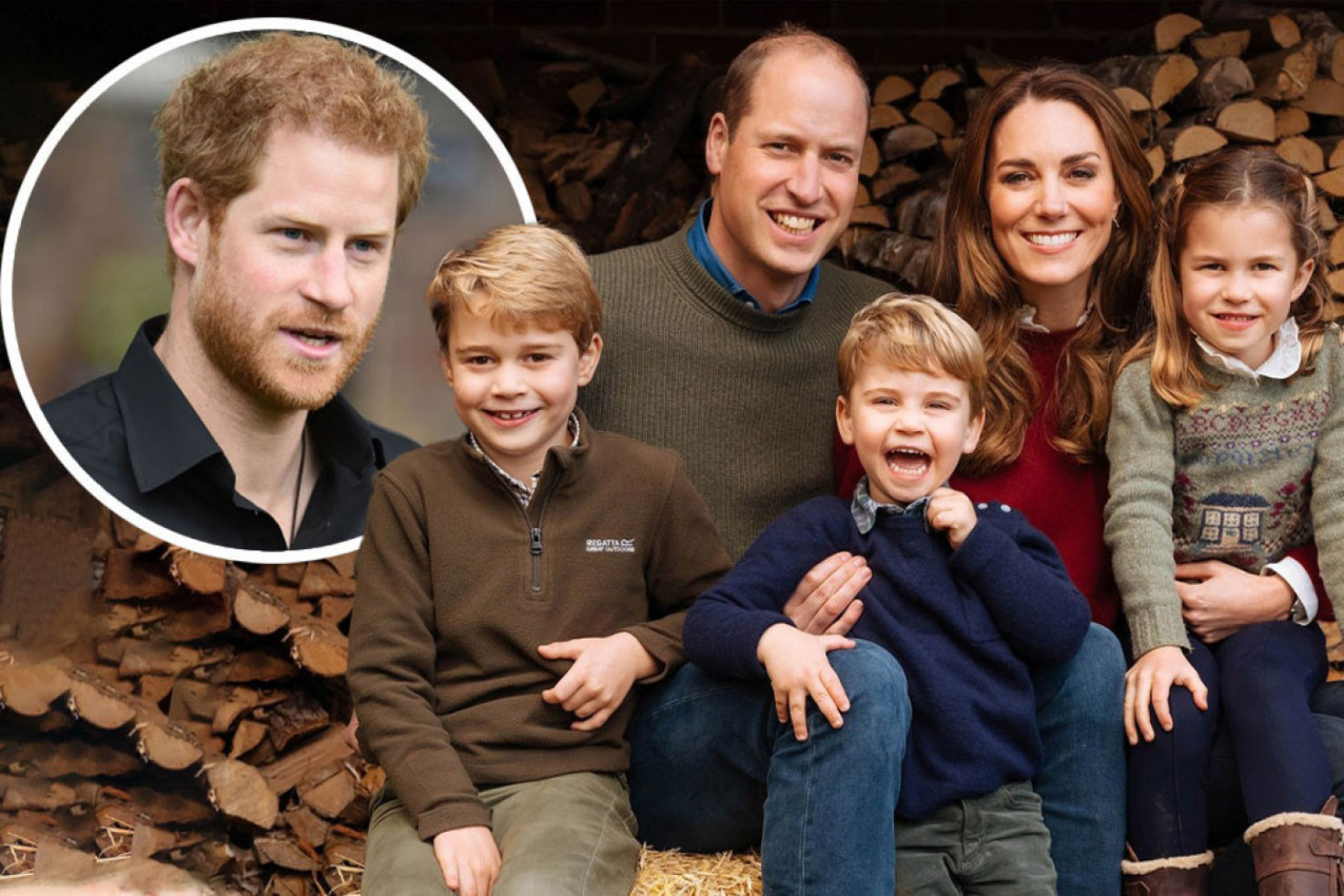 HARI JE BIO POD HALUCINACIJAMA, POMENUO  I VILIJAMOVU DECU:  Postoje stvari koje su se desile, ne želim da svet sazna za to! (FOTO)