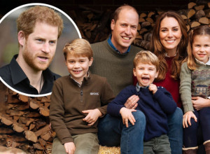 HARI JE BIO POD HALUCINACIJAMA, POMENUO  I VILIJAMOVU DECU:  Postoje stvari koje su se desile, ne želim da svet sazna za to! (FOTO)