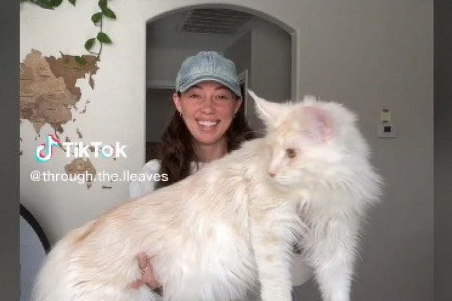 "OVO NIJE MAČKA, TA ŽENA DRŽI BELOG PANTERA": Ljudi u šoku gledaju gigantskog ljubimca hrabre devojke! (FOTO/VIDEO)