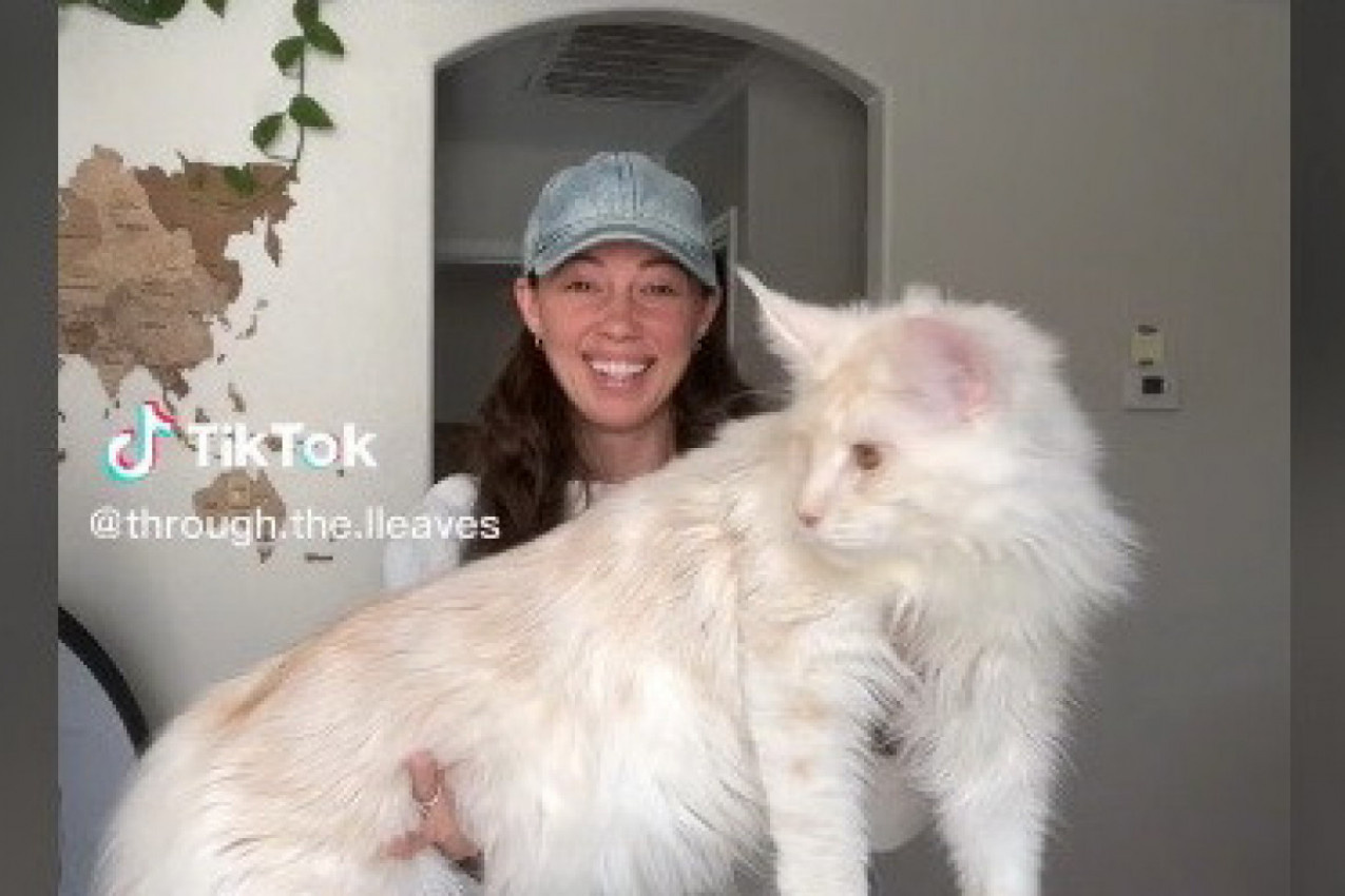 "OVO NIJE MAČKA, TA ŽENA DRŽI BELOG PANTERA": Ljudi u šoku gledaju gigantskog ljubimca hrabre devojke! (FOTO/VIDEO)