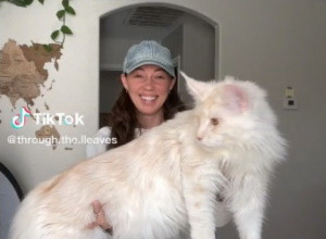 "OVO NIJE MAČKA, TA ŽENA DRŽI BELOG PANTERA": Ljudi u šoku gledaju gigantskog ljubimca hrabre devojke! (FOTO/VIDEO)