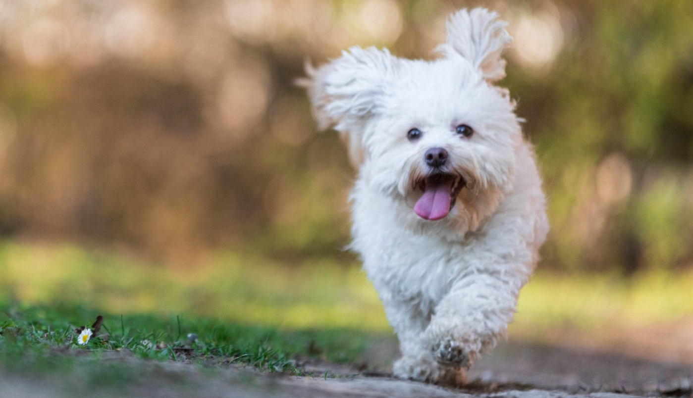 Sreća je u malim stvarima...