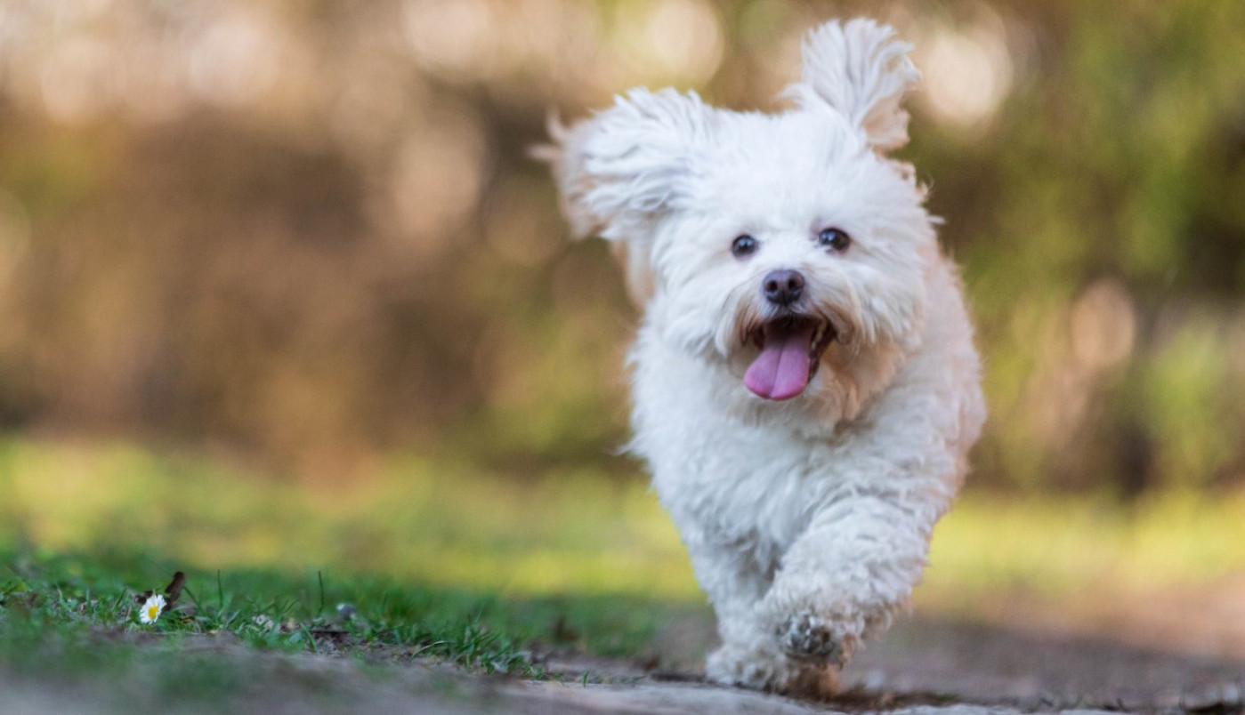 Sreća je u malim stvarima...