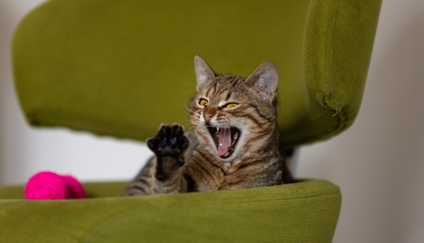 Da li je još neko danas teško ustao iz kreveta?