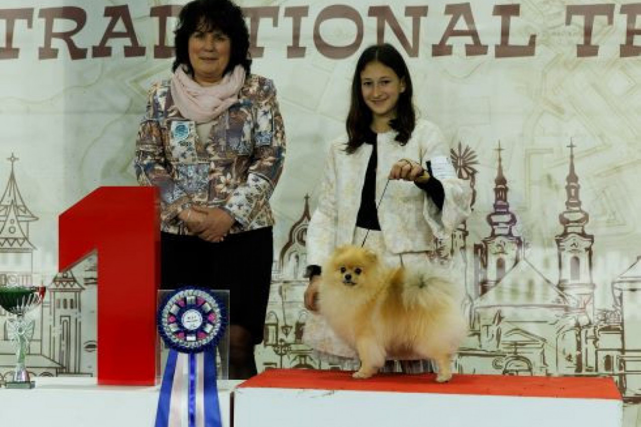 ODRŽANA MEĐUNARODNA IZLOŽBA PASA U TEMIŠVARU: Naša Tamara i njen Boss najbolji u junior hendlingu (FOTO)