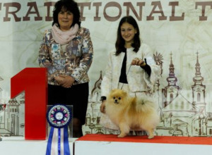 ODRŽANA MEĐUNARODNA IZLOŽBA PASA U TEMIŠVARU: Naša Tamara i njen Boss najbolji u junior hendlingu (FOTO)