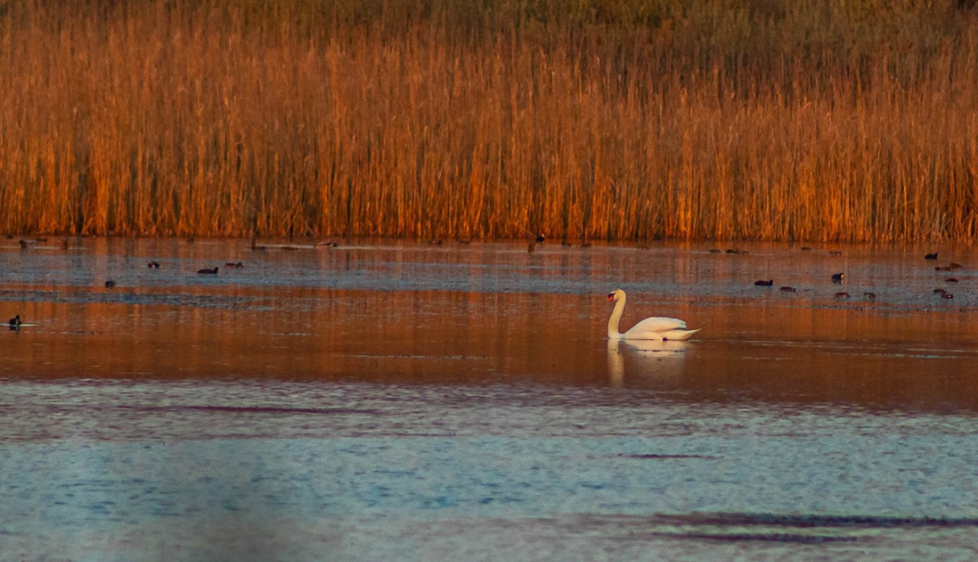 Neko uživa u zimi na potpuno drugačiji način...