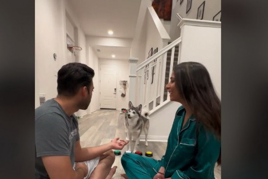 SVAĐALI SU SE, A ONDA JE NJIHOV PAS URADIO NEŠTO ŠTO IH JE SKAMENILO: Vlasnici Haskija nisu mogli da veruju svojim ušima! (VIDEO)