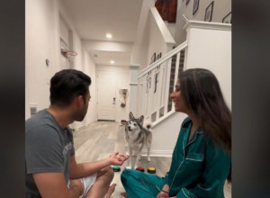 SVAĐALI SU SE, A ONDA JE NJIHOV PAS URADIO NEŠTO ŠTO IH JE SKAMENILO: Vlasnici Haskija nisu mogli da veruju svojim ušima! (VIDEO)