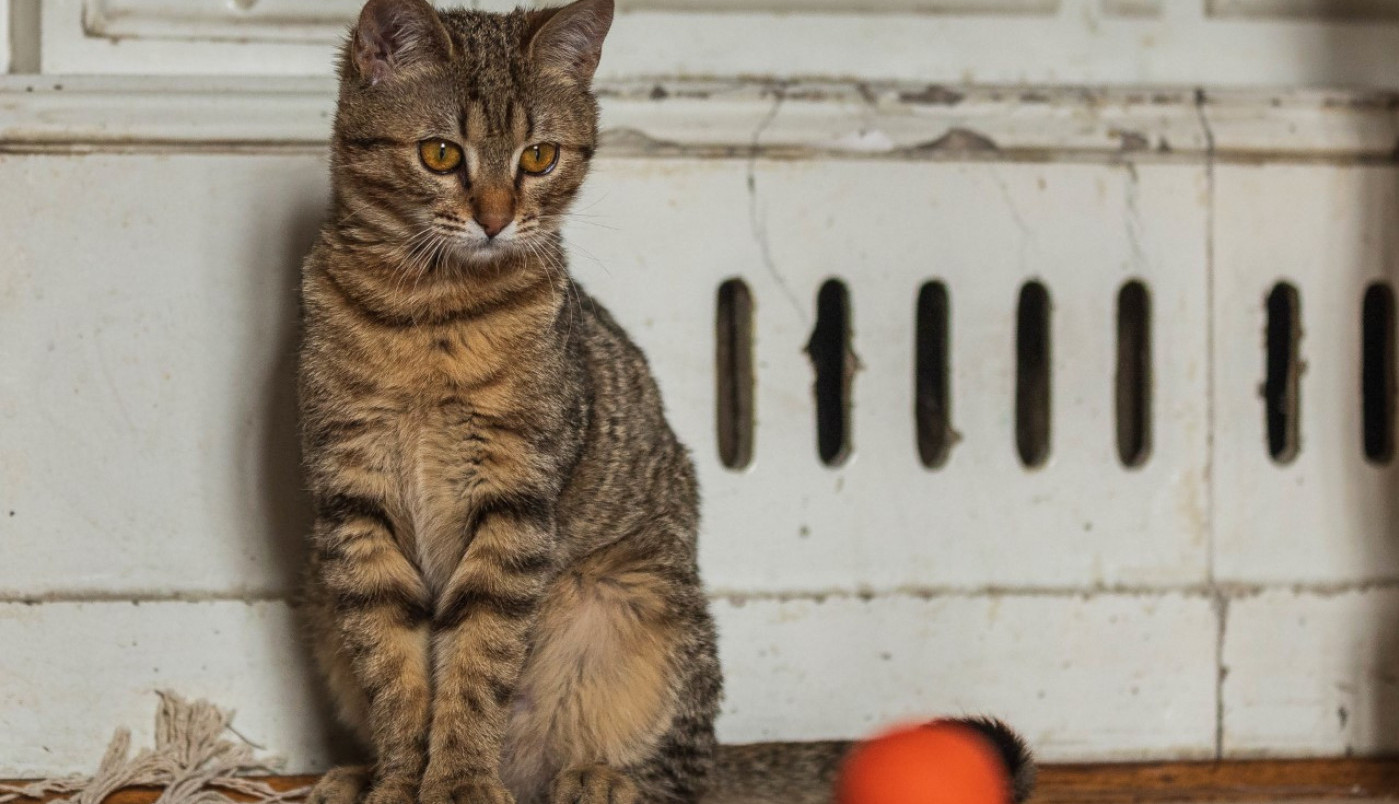 Sve je u fokusu i koncentraciji...