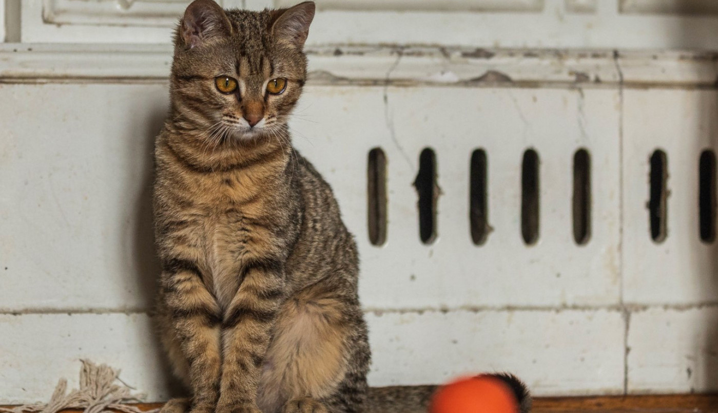 Sve je u fokusu i koncentraciji...