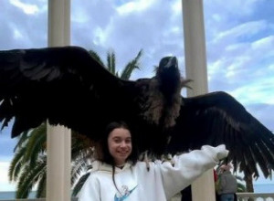 DA LI STE IKADA VIDELI OVAKVOG LJUBIMCA? "Kada mi je sleteo na ruku mislila sam da će me polomiti" (VIDEO)