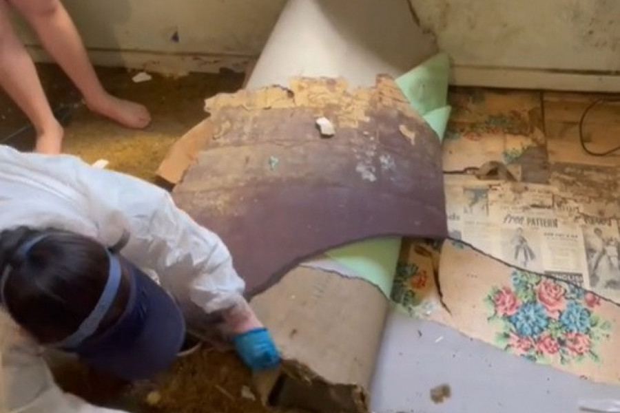 POZVALA JU JE STARICA DA JOJ OČISTI KUĆU I UKLONI DECENIJAMA STAR I ISTRULEO TEPIH: Kada ga je ona podigla usledio je vrisak, da li je to uopšte moguće?! (VIDEO)